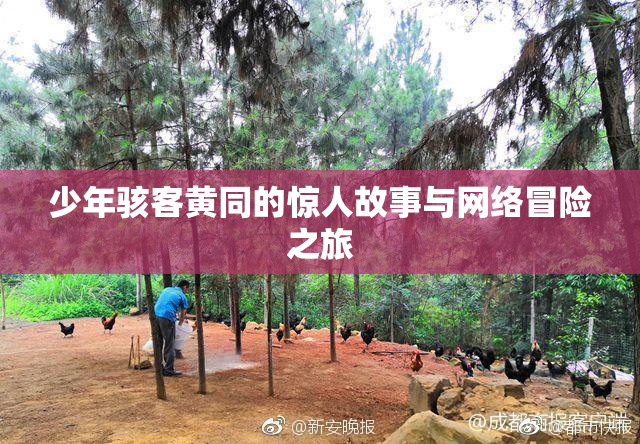 少年骇客黄同的惊人故事与网络冒险之旅