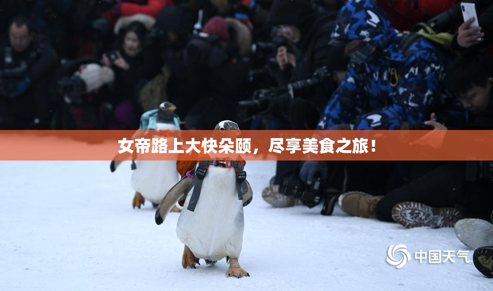 女帝路上大快朵颐，尽享美食之旅！
