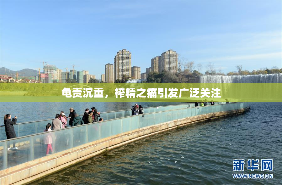 龟责沉重，榨精之痛引发广泛关注