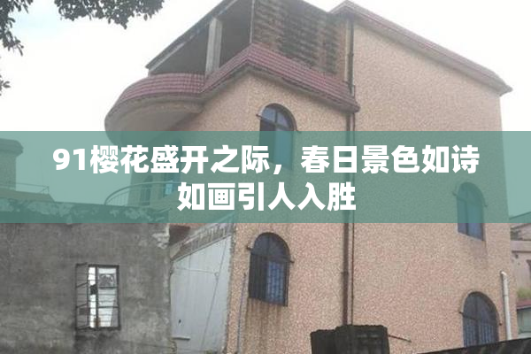 91樱花盛开之际，春日景色如诗如画引人入胜