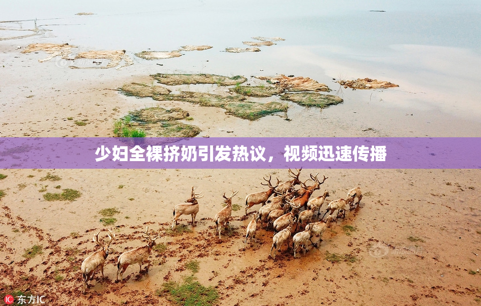 少妇全裸挤奶引发热议，视频迅速传播