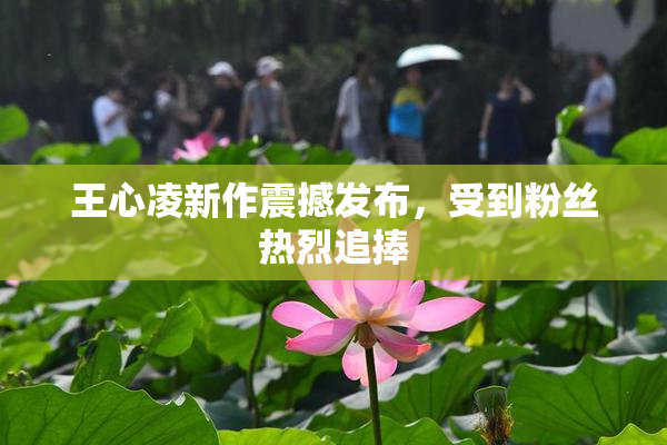王心凌新作震撼发布，受到粉丝热烈追捧