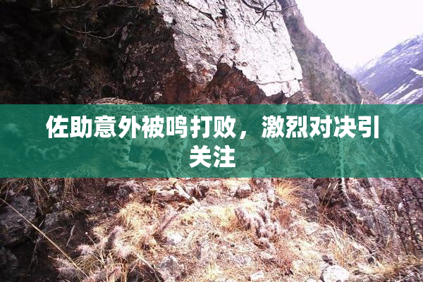 佐助意外被鸣打败，激烈对决引关注