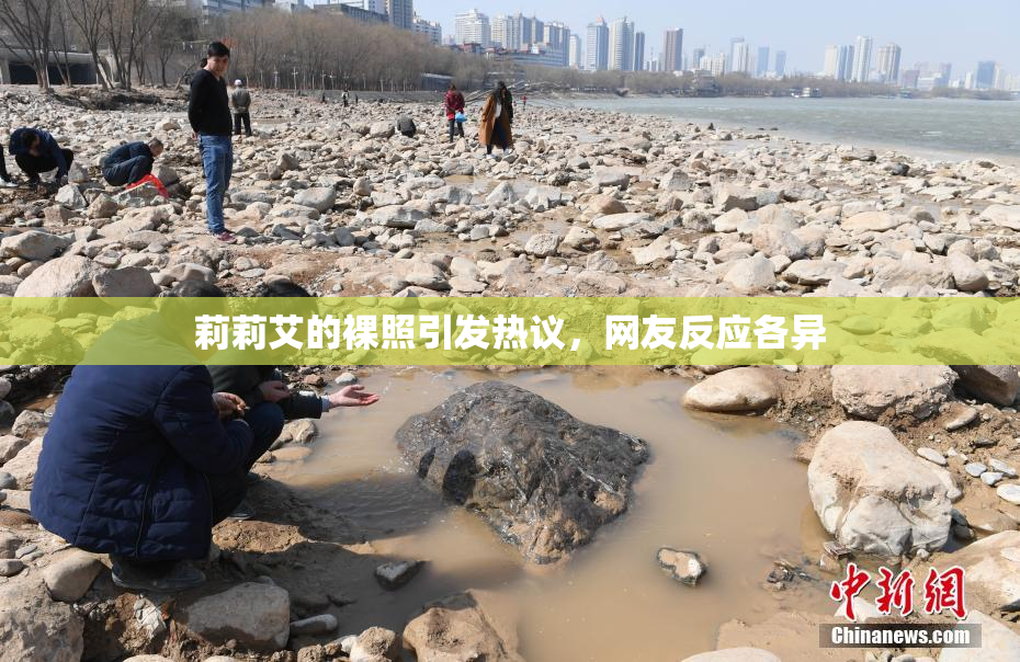 莉莉艾的裸照引发热议，网友反应各异