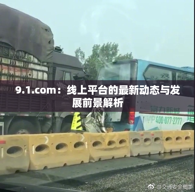 9.1.com：线上平台的最新动态与发展前景解析