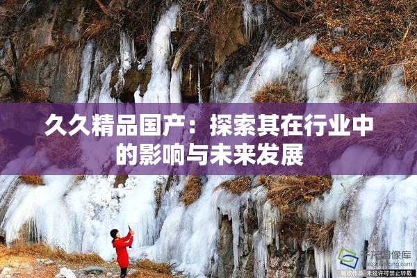 久久精品国产：探索其在行业中的影响与未来发展