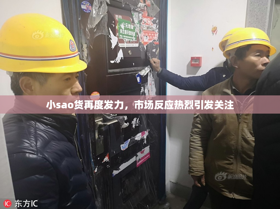 小sao货再度发力，市场反应热烈引发关注