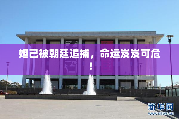 妲己被朝廷追捕，命运岌岌可危！