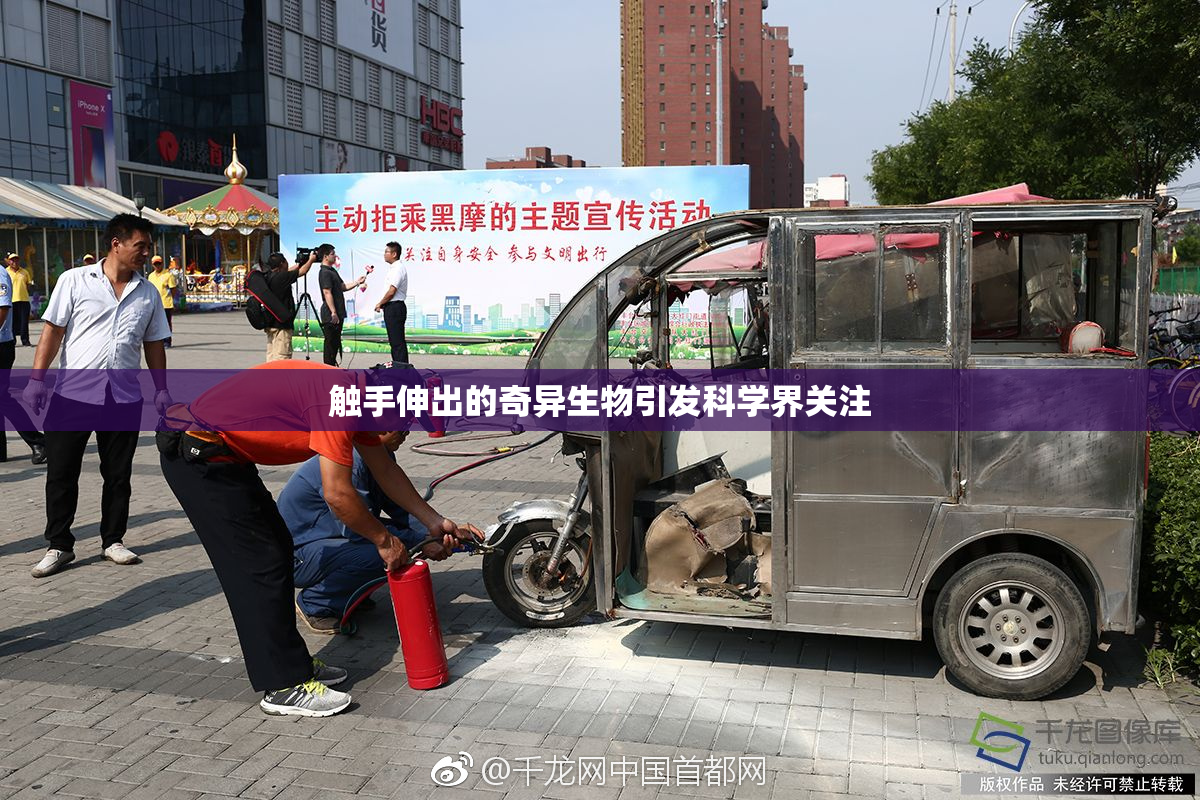 触手伸出的奇异生物引发科学界关注