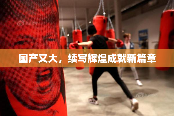国产又大，续写辉煌成就新篇章