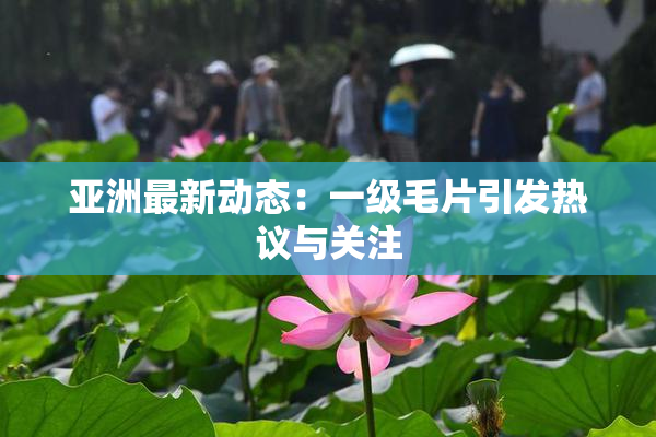 亚洲最新动态：一级毛片引发热议与关注
