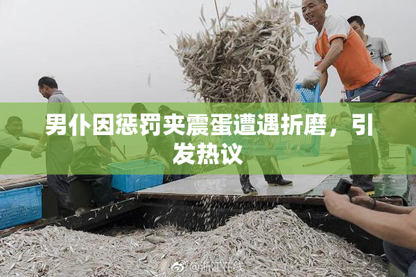 男仆因惩罚夹震蛋遭遇折磨，引发热议