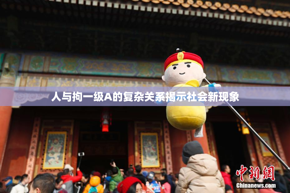 人与拘一级A的复杂关系揭示社会新现象