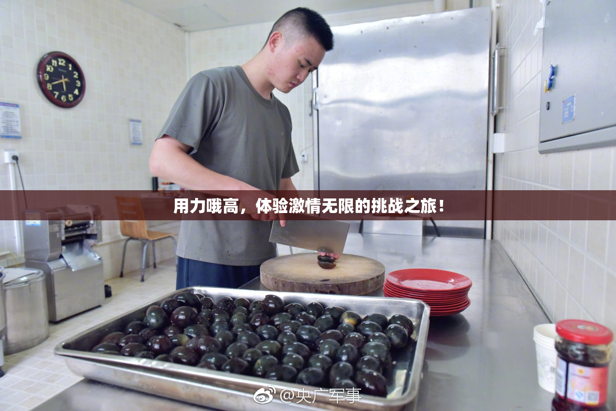 用力哦高，体验激情无限的挑战之旅！