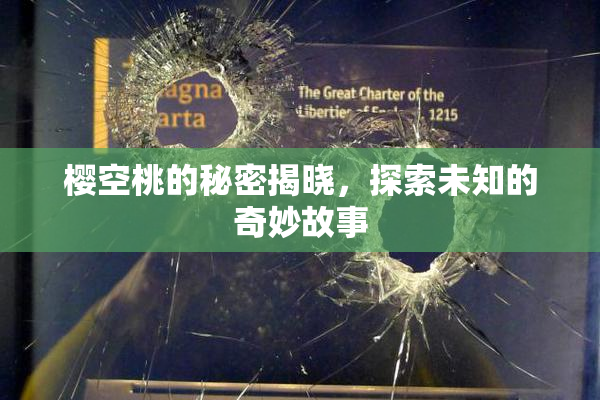 樱空桃的秘密揭晓，探索未知的奇妙故事