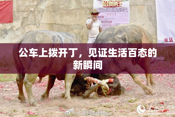 公车上拨开丁，见证生活百态的新瞬间