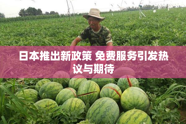 日本推出新政策 免费服务引发热议与期待