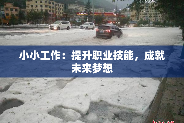 小小工作：提升职业技能，成就未来梦想