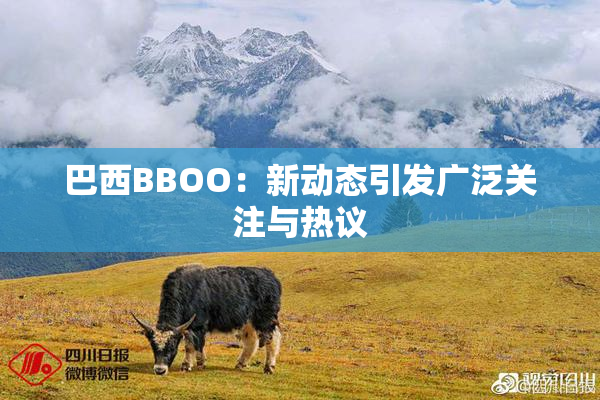 巴西BBOO：新动态引发广泛关注与热议