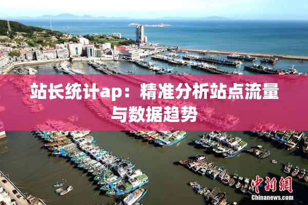 站长统计ap：精准分析站点流量与数据趋势