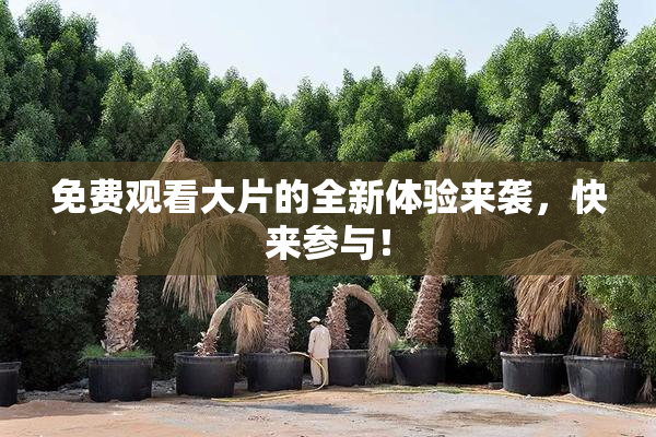 免费观看大片的全新体验来袭，快来参与！