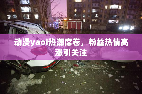 动漫yaoi热潮席卷，粉丝热情高涨引关注
