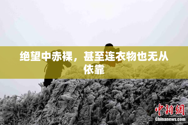 绝望中赤裸，甚至连衣物也无从依靠