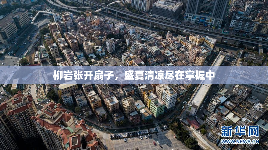 柳岩张开扇子，盛夏清凉尽在掌握中