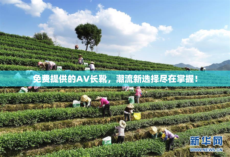 免费提供的AV长靴，潮流新选择尽在掌握！