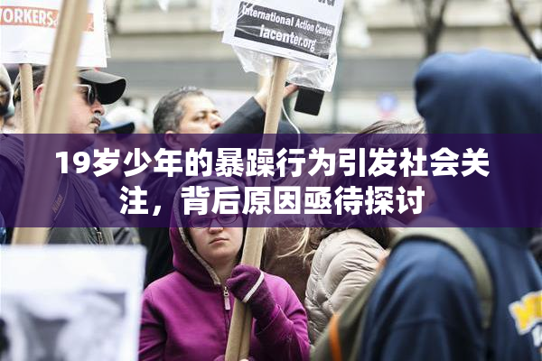 19岁少年的暴躁行为引发社会关注，背后原因亟待探讨