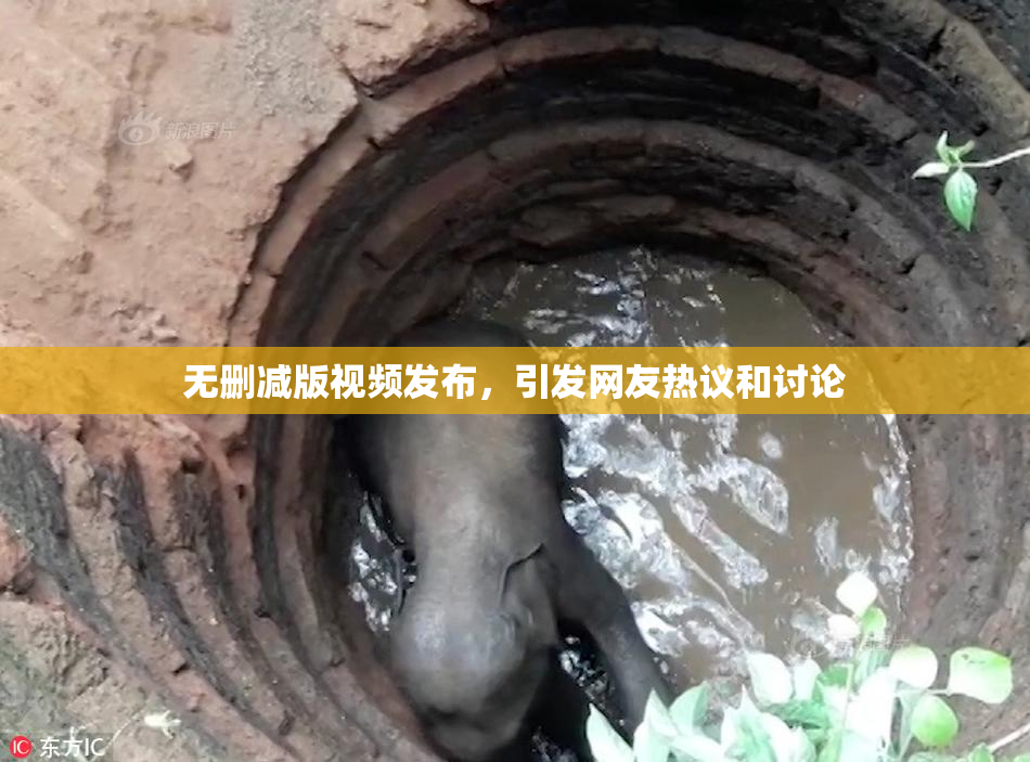 无删减版视频发布，引发网友热议和讨论