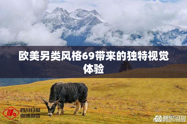 欧美另类风格69带来的独特视觉体验
