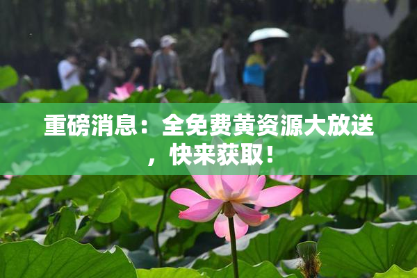 重磅消息：全免费黄资源大放送，快来获取！