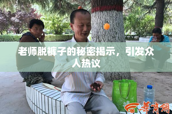 老师脱裤子的秘密揭示，引发众人热议