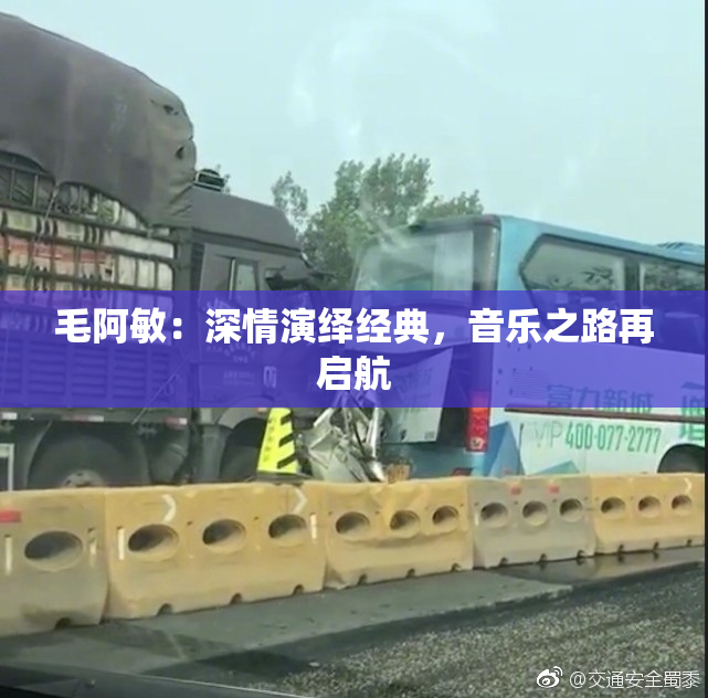 毛阿敏：深情演绎经典，音乐之路再启航