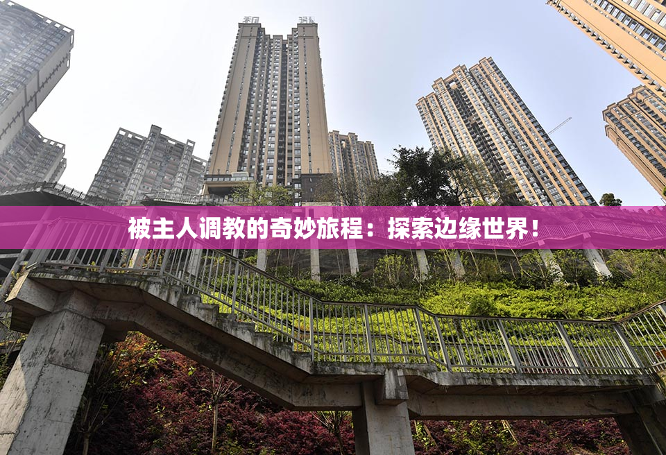 被主人调教的奇妙旅程：探索边缘世界！