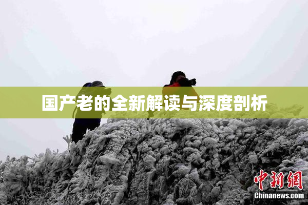 国产老的全新解读与深度剖析