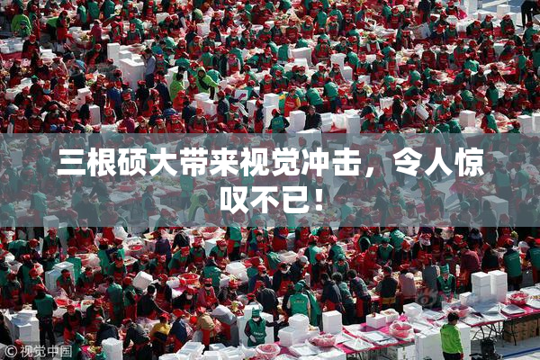 三根硕大带来视觉冲击，令人惊叹不已！