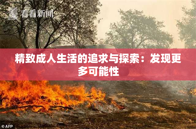 精致成人生活的追求与探索：发现更多可能性