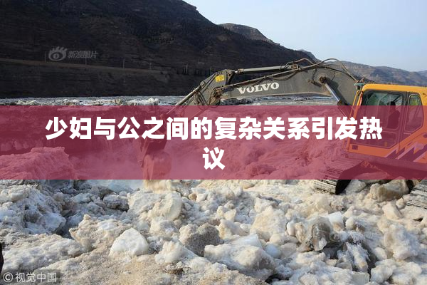 少妇与公之间的复杂关系引发热议