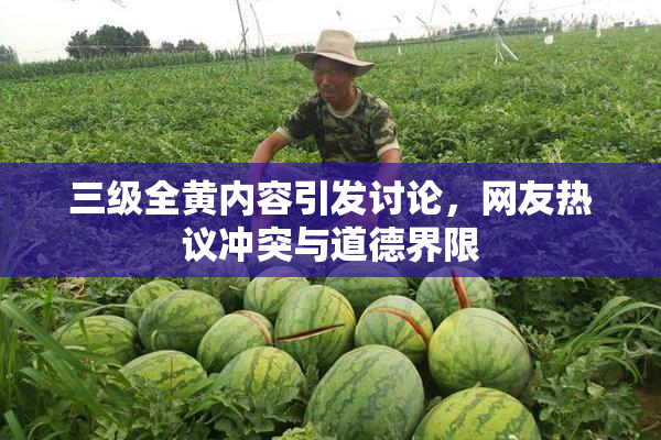 三级全黄内容引发讨论，网友热议冲突与道德界限