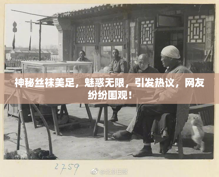 神秘丝袜美足，魅惑无限，引发热议，网友纷纷围观！