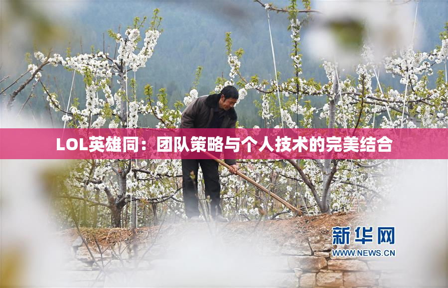 LOL英雄同：团队策略与个人技术的完美结合