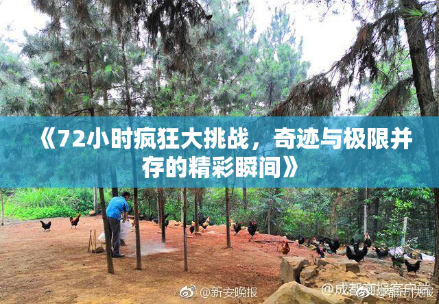 《72小时疯狂大挑战，奇迹与极限并存的精彩瞬间》