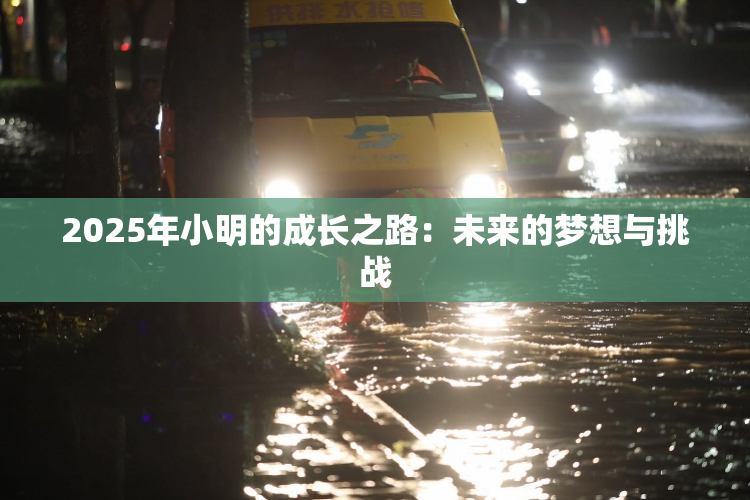 2025年小明的成长之路：未来的梦想与挑战