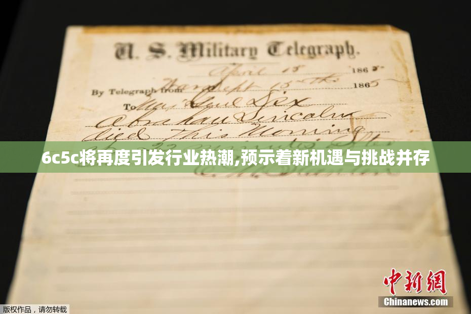 6c5c将再度引发行业热潮,预示着新机遇与挑战并存