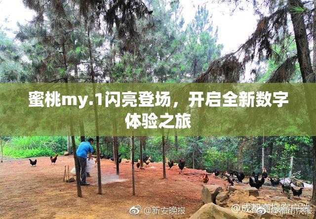 蜜桃my.1闪亮登场，开启全新数字体验之旅