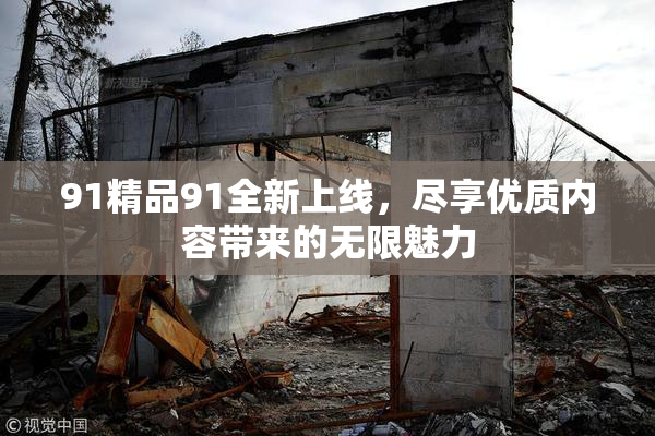 91精品91全新上线，尽享优质内容带来的无限魅力