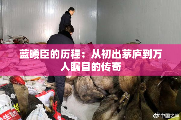 蓝曦臣的历程：从初出茅庐到万人瞩目的传奇