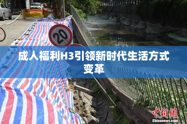 成人福利H3引领新时代生活方式变革